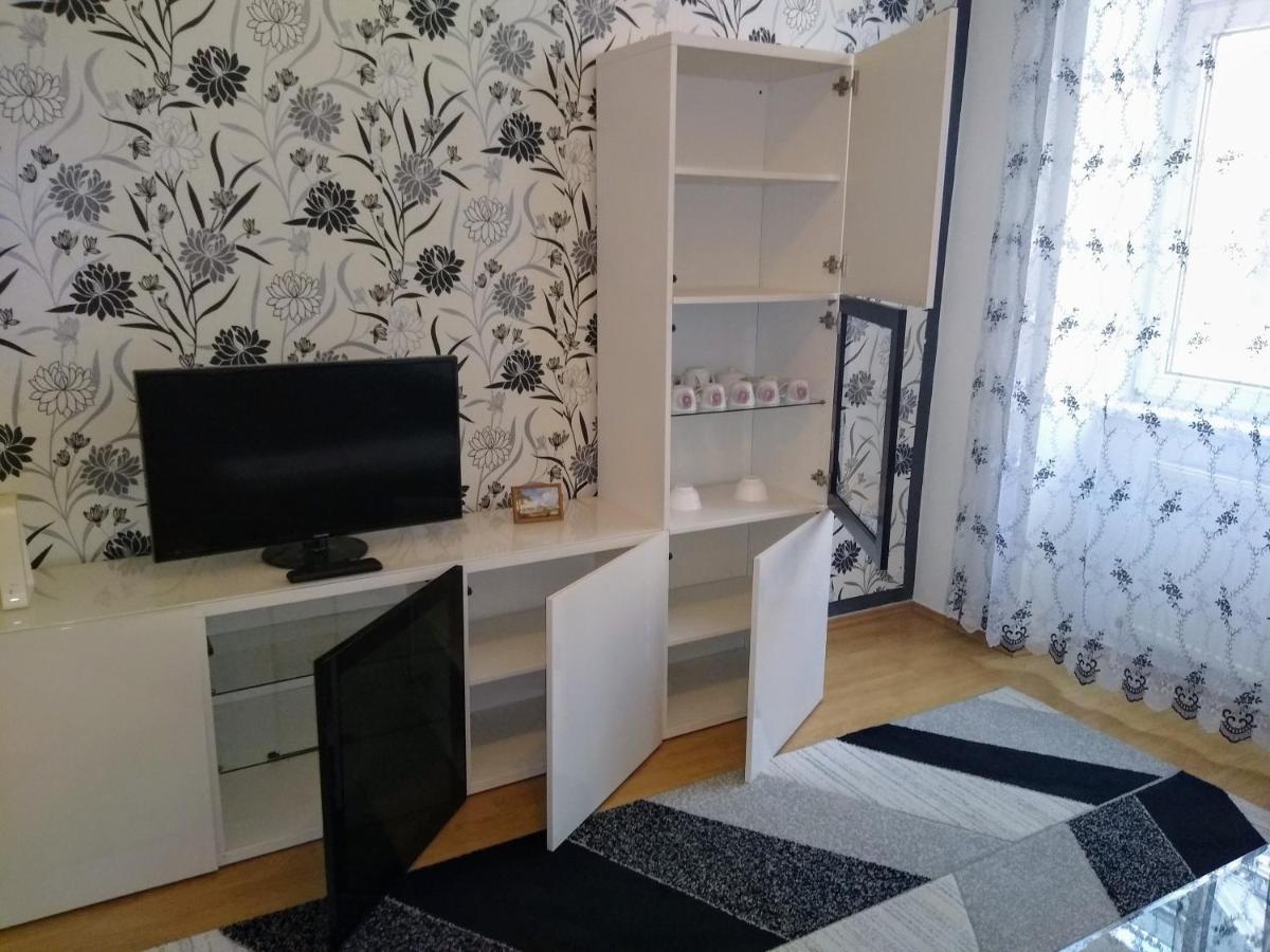 Spacious Central Apartment 维也纳 外观 照片