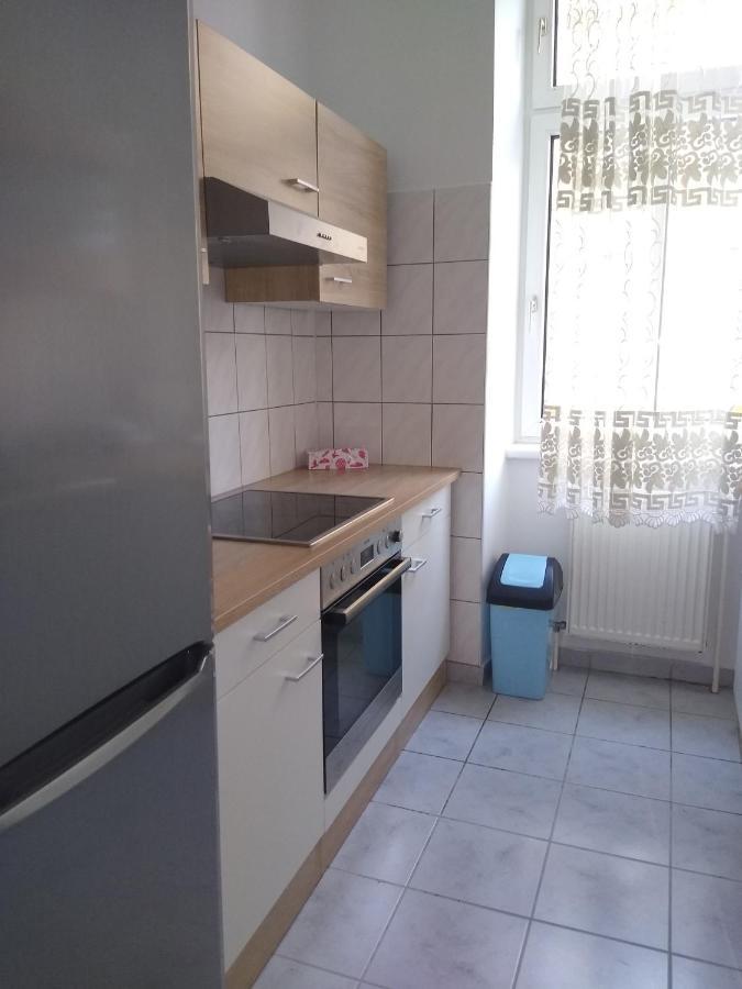 Spacious Central Apartment 维也纳 外观 照片